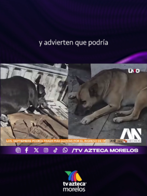 @TVAztecaMorelos