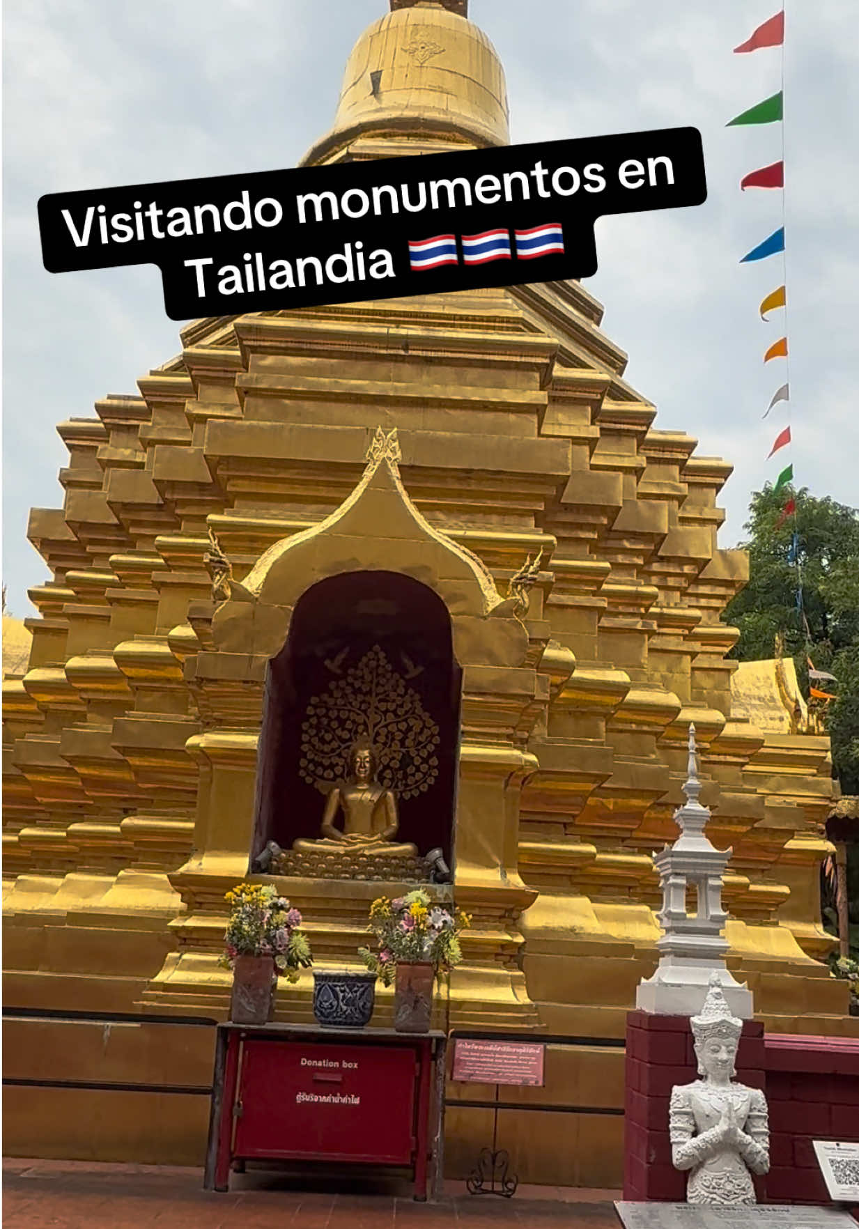 @colomboturcos