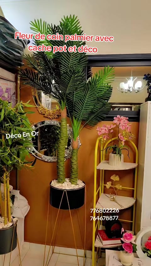 @DECO EN OR