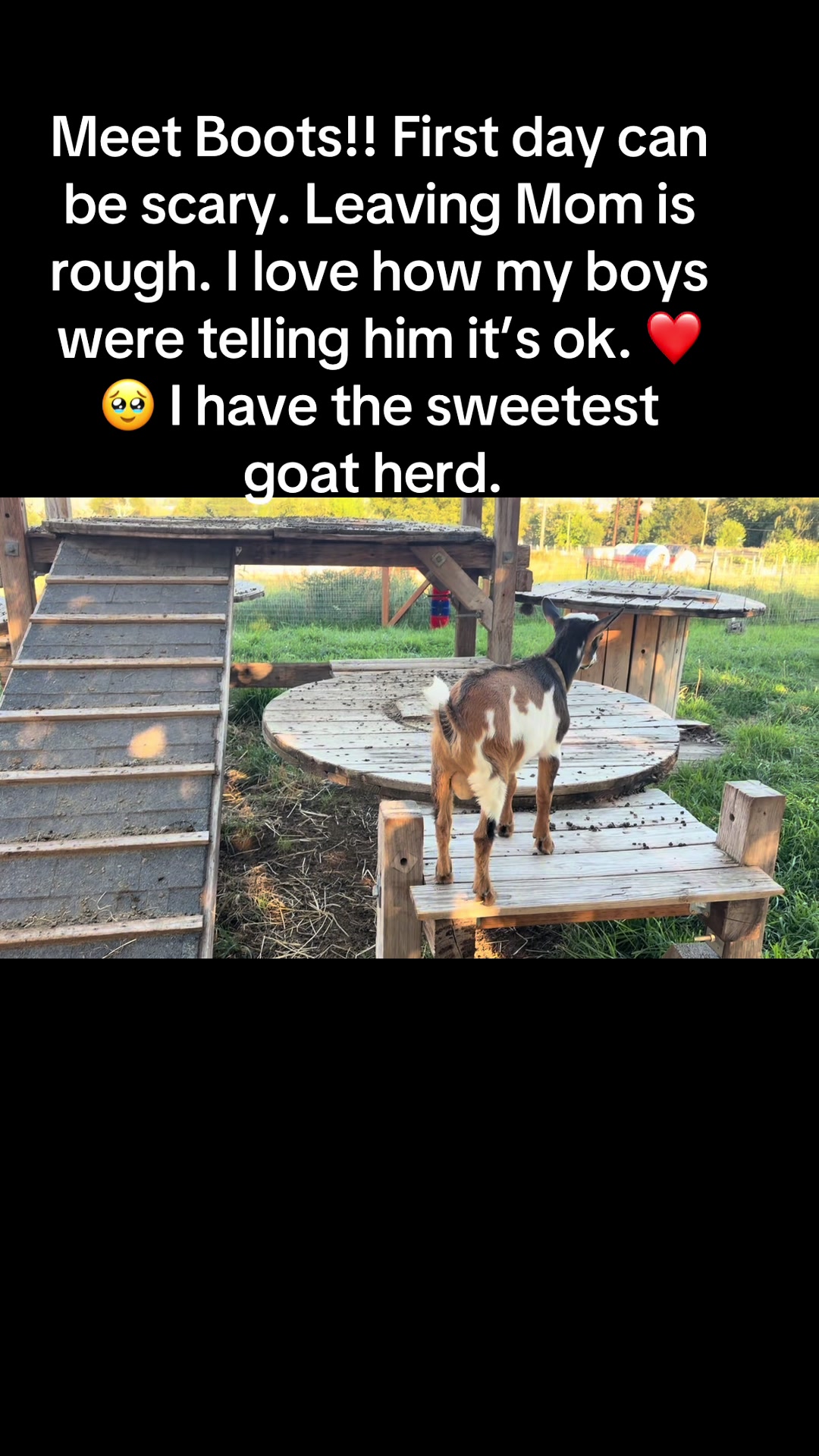 @WollamFarm