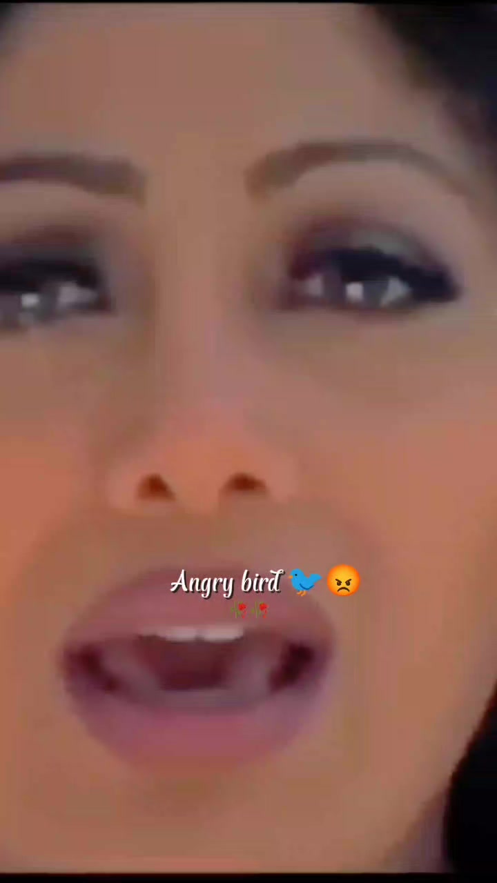 @💫𝖆𝖓𝖌𝖗𝖞 𝖇𝖎𝖗𝖉𝖘💫💥