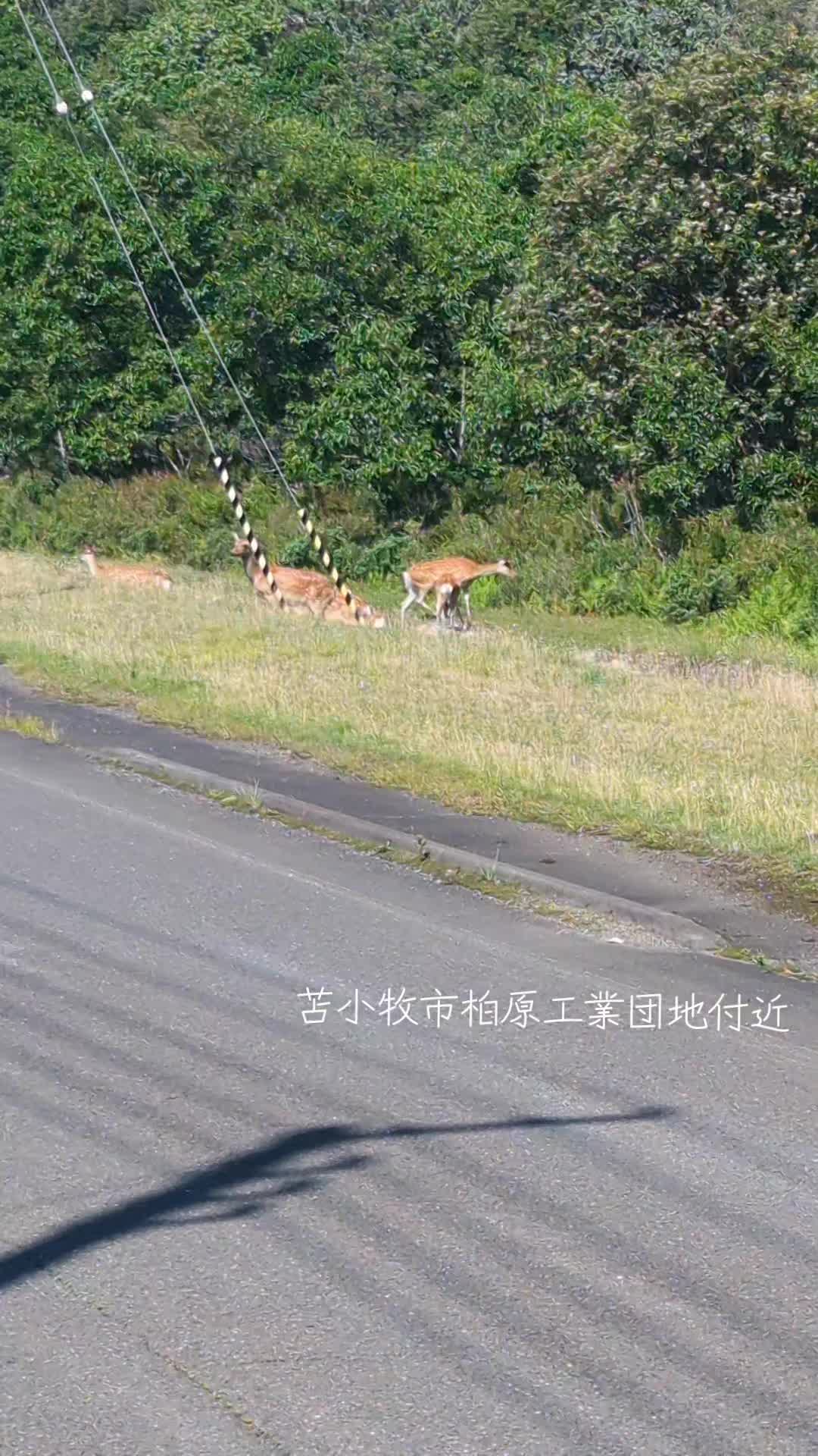 @しん