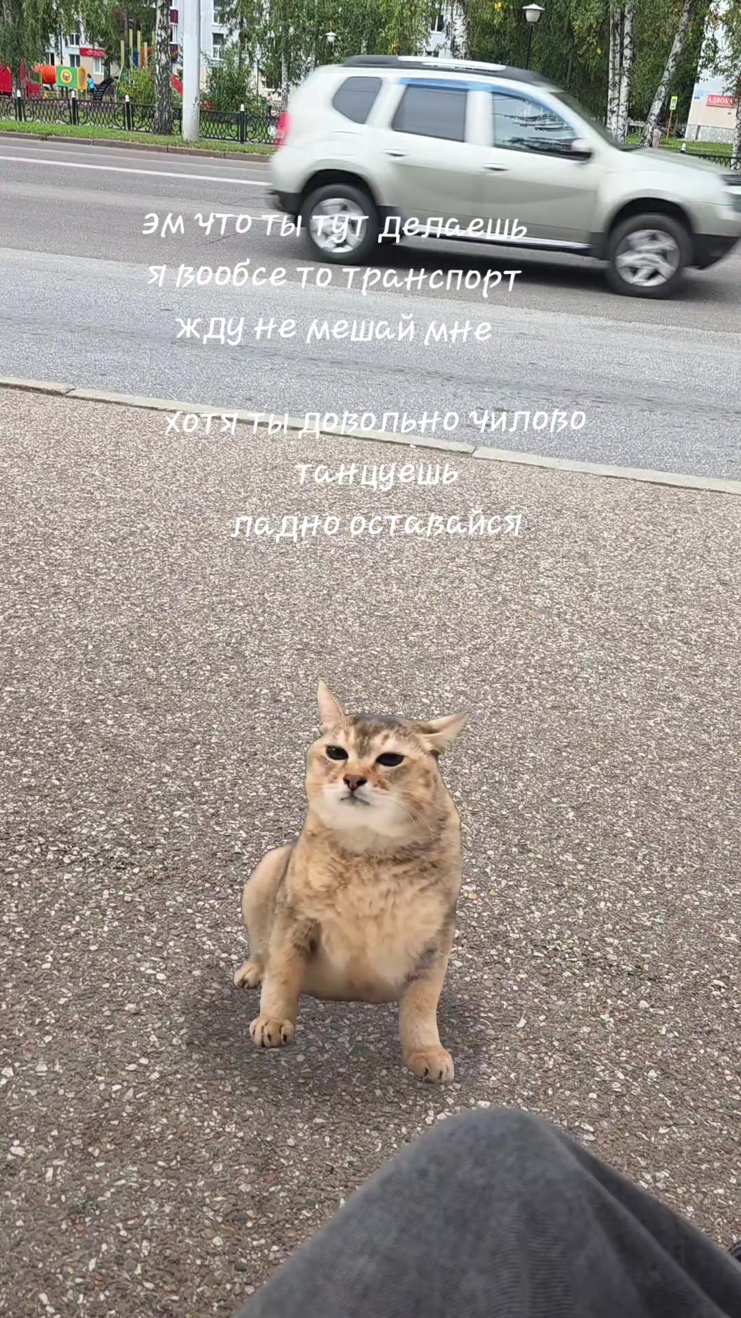 @l0tik!