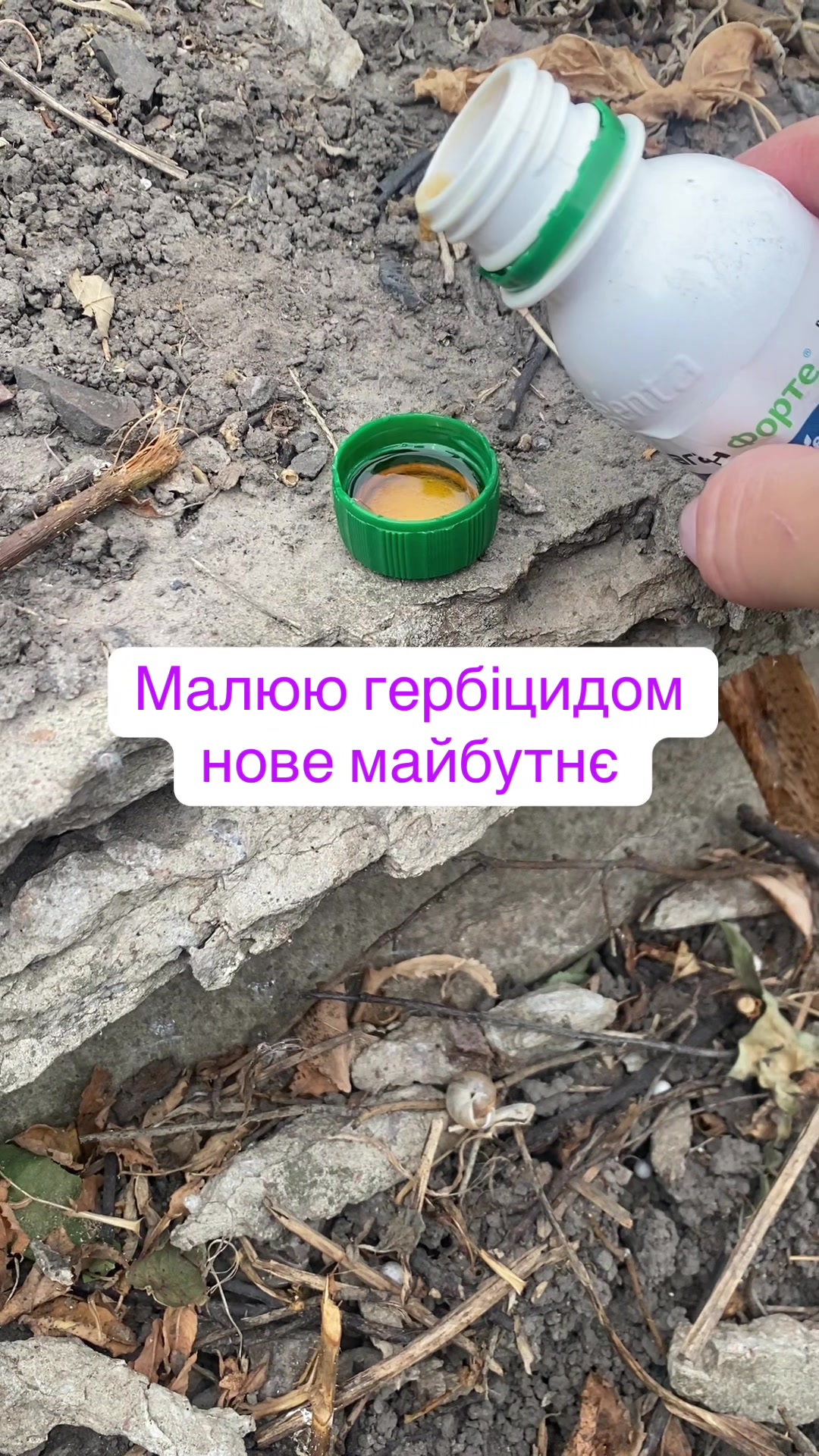 @Фея городу