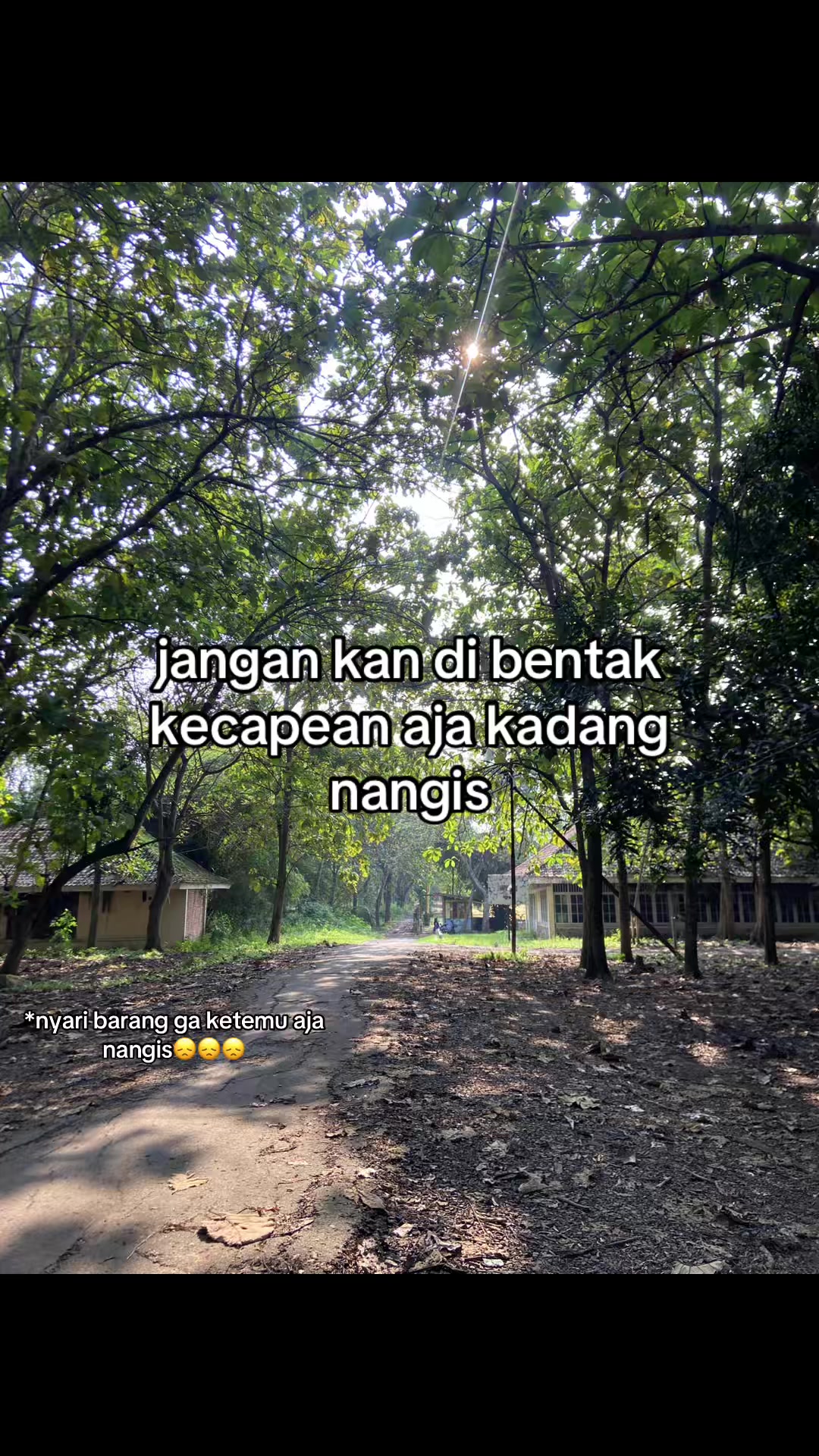 @laaaaaaa 