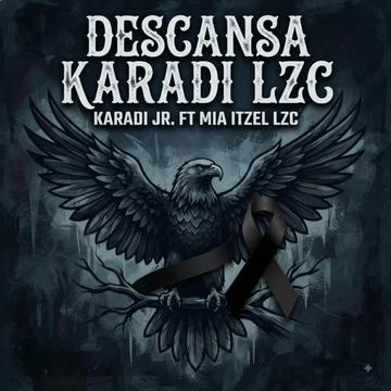 @karadi lzc