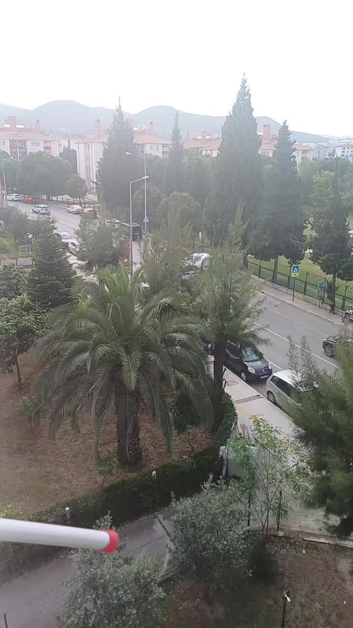 @esra35012