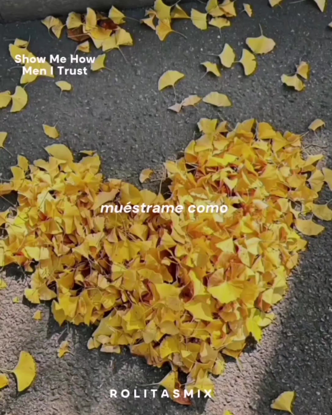 @🎼Ʀ.ʍ&iota;&chi; 🎼