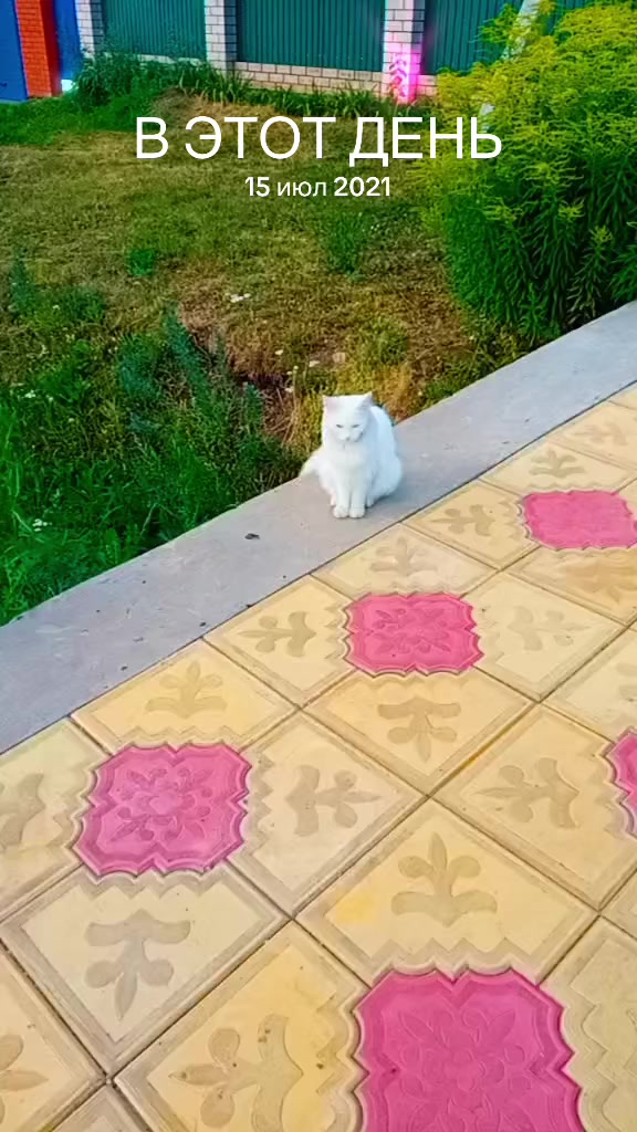 @💗🐰Ласка🐰💗