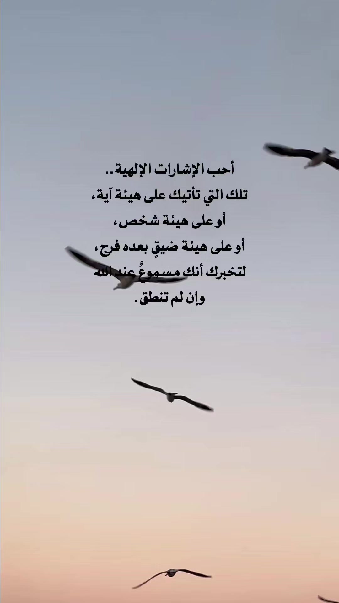 @حيدر الوائلي