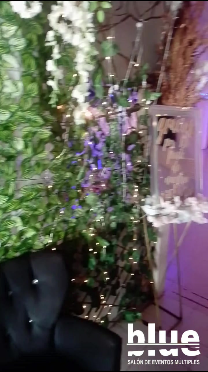 @Roly Decoraciónes