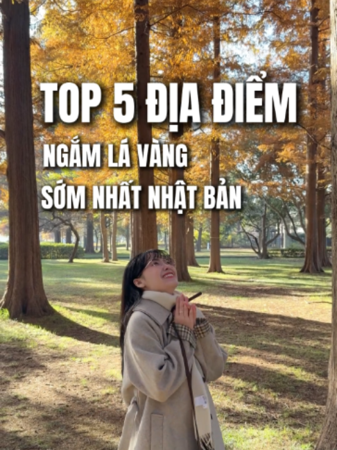 @Đi Nhật Cùng Nhâm
