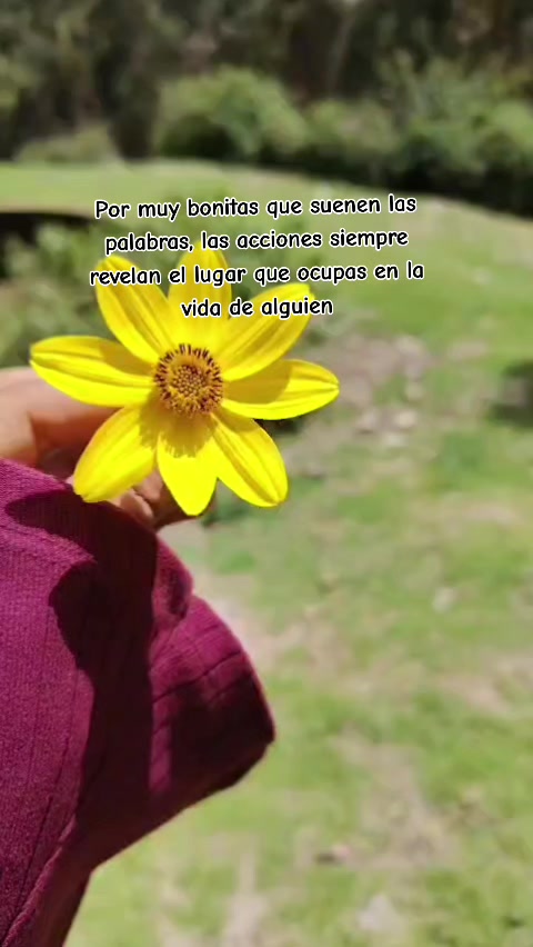 @🦋 Nery Villanueva ❤️💫