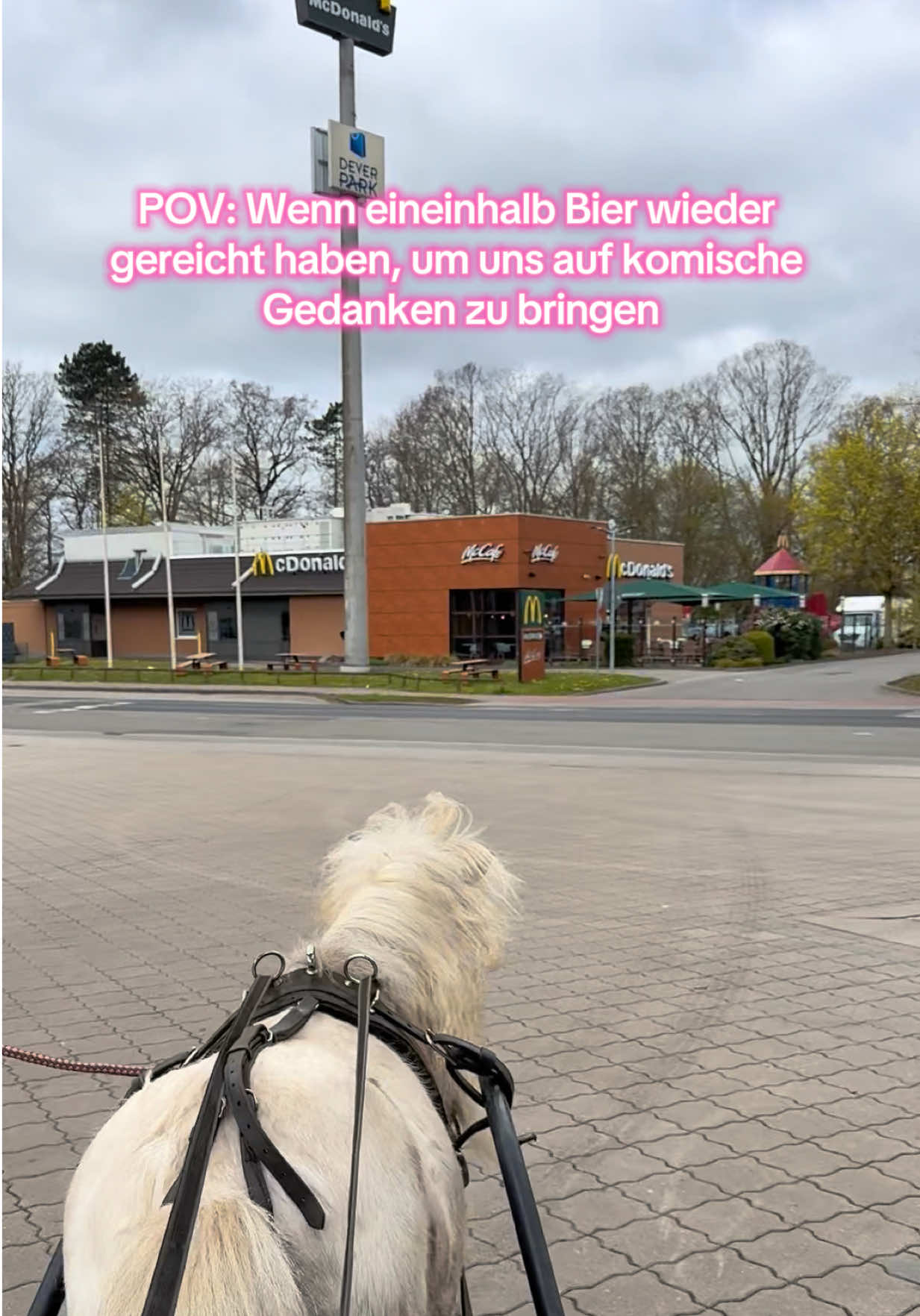 @Svenjaundclippy