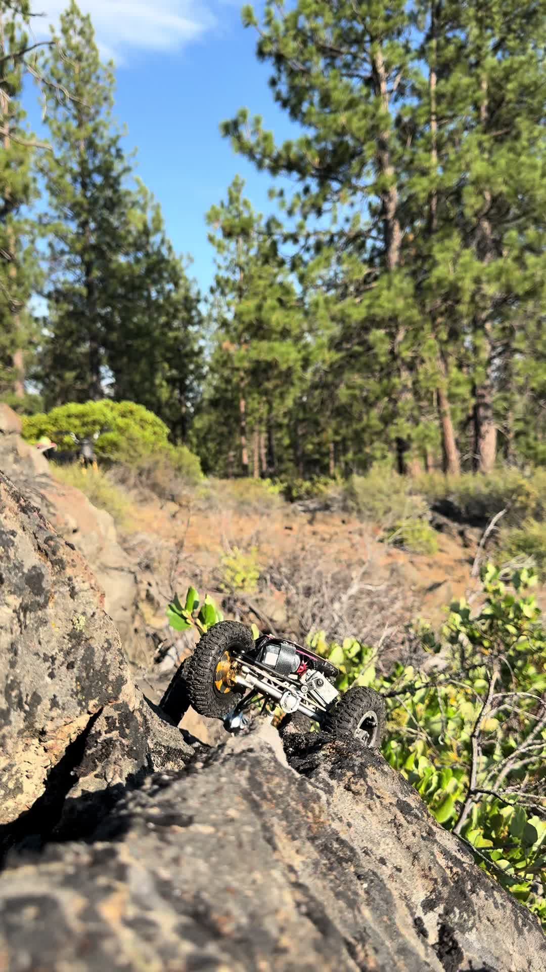 @Riverwoods RC