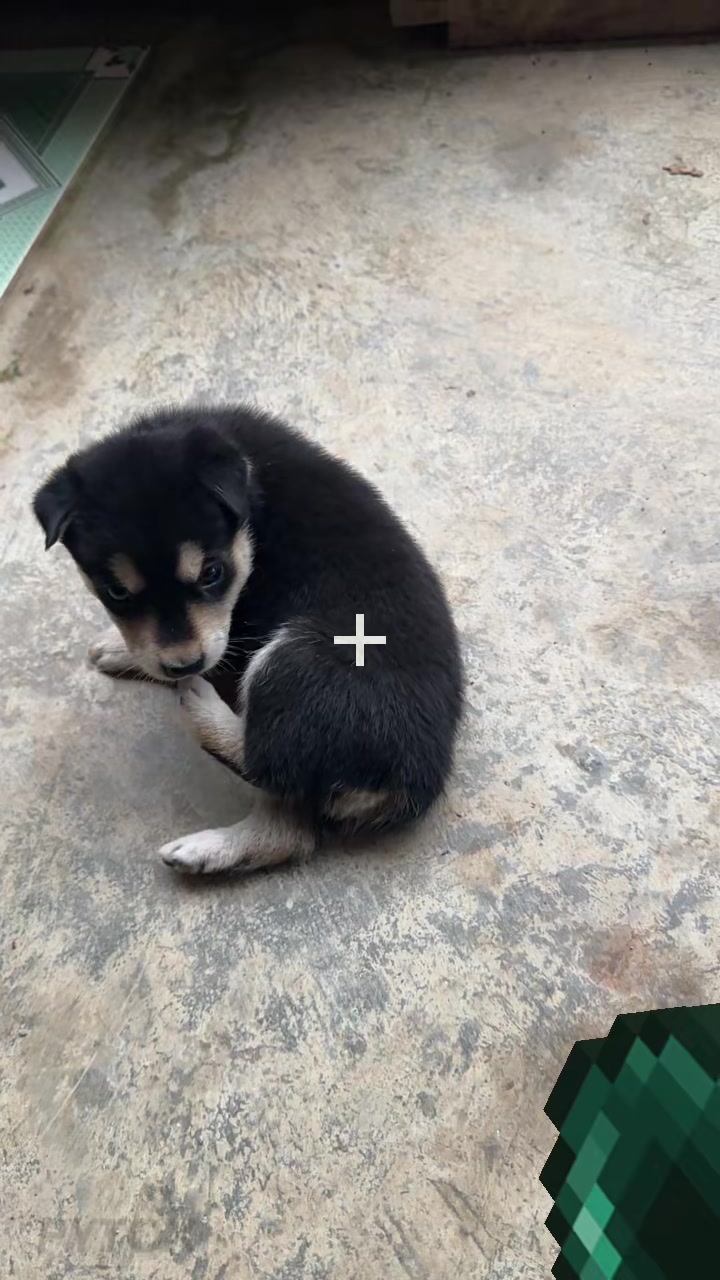 @Pet❤️🔥