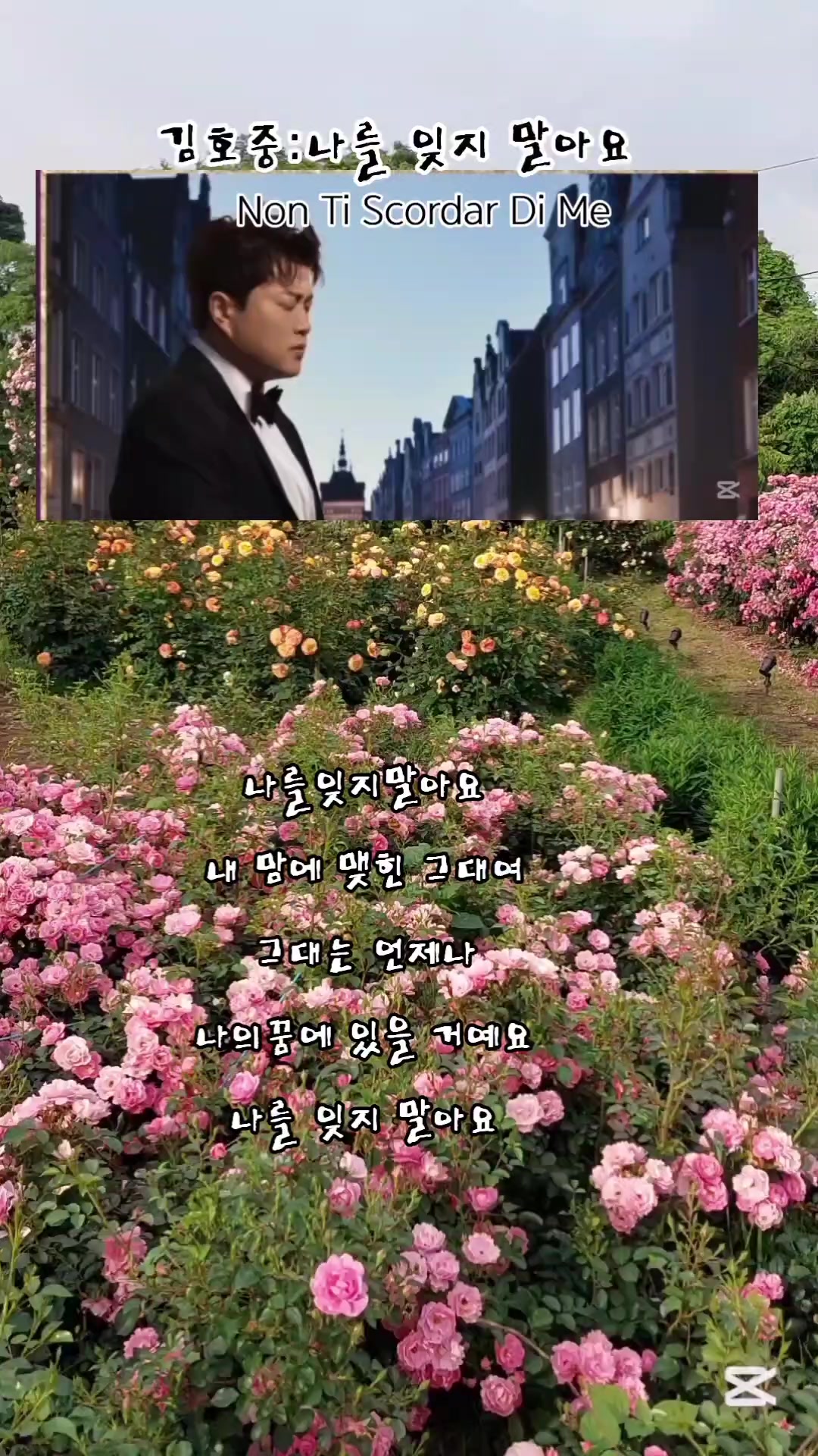 @찔레꽃