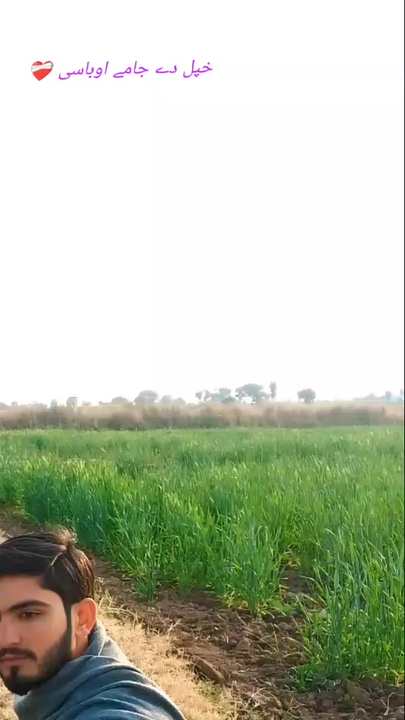 @🖤 شیرأز پٹھان ✔️