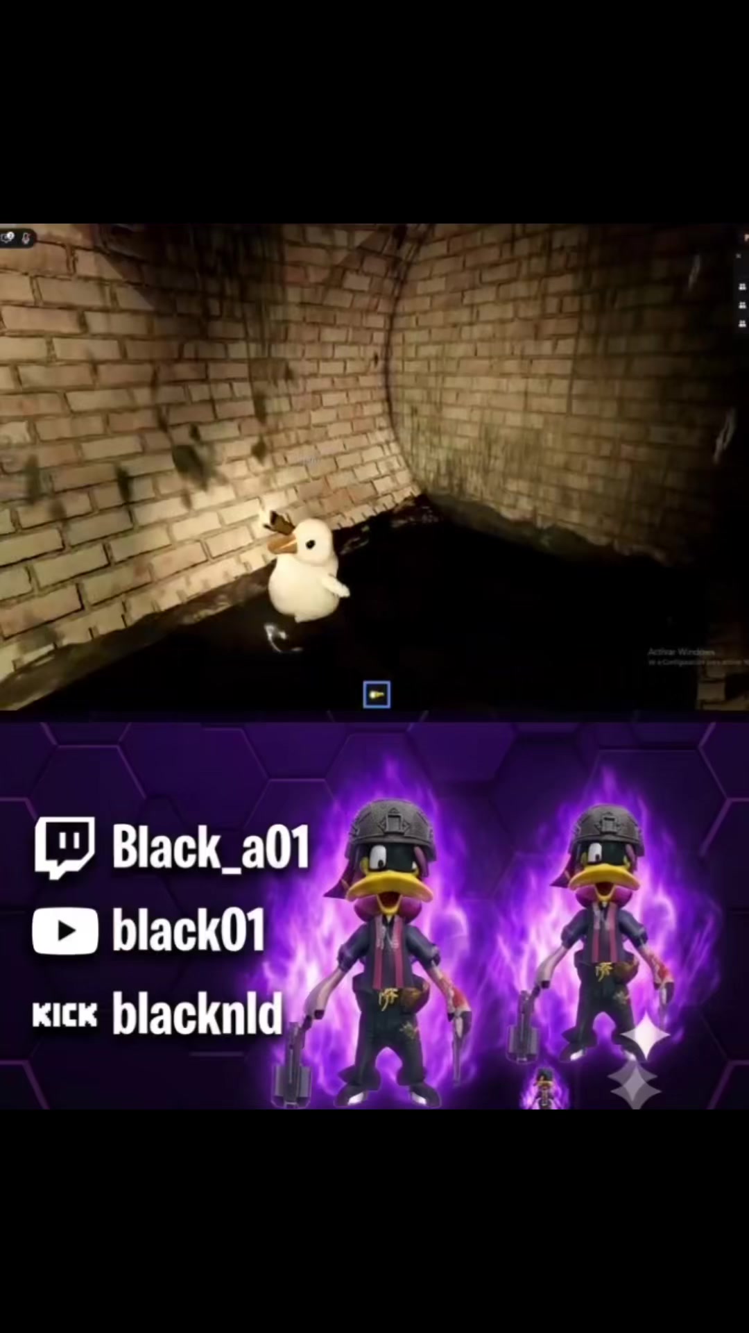 @black01
