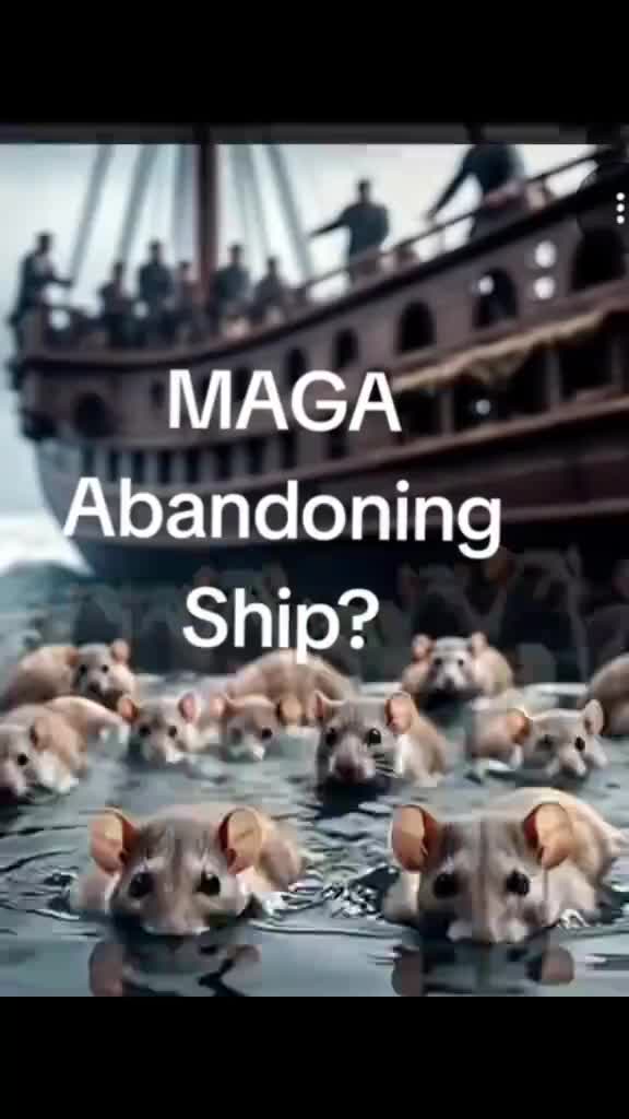 @Garebearboomer!