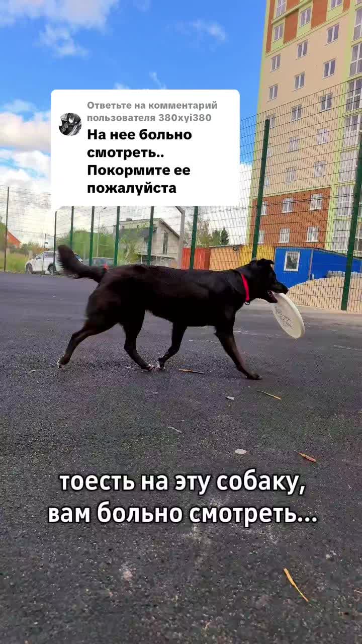 @𝙏𝙚𝙮𝙖🥏🦦