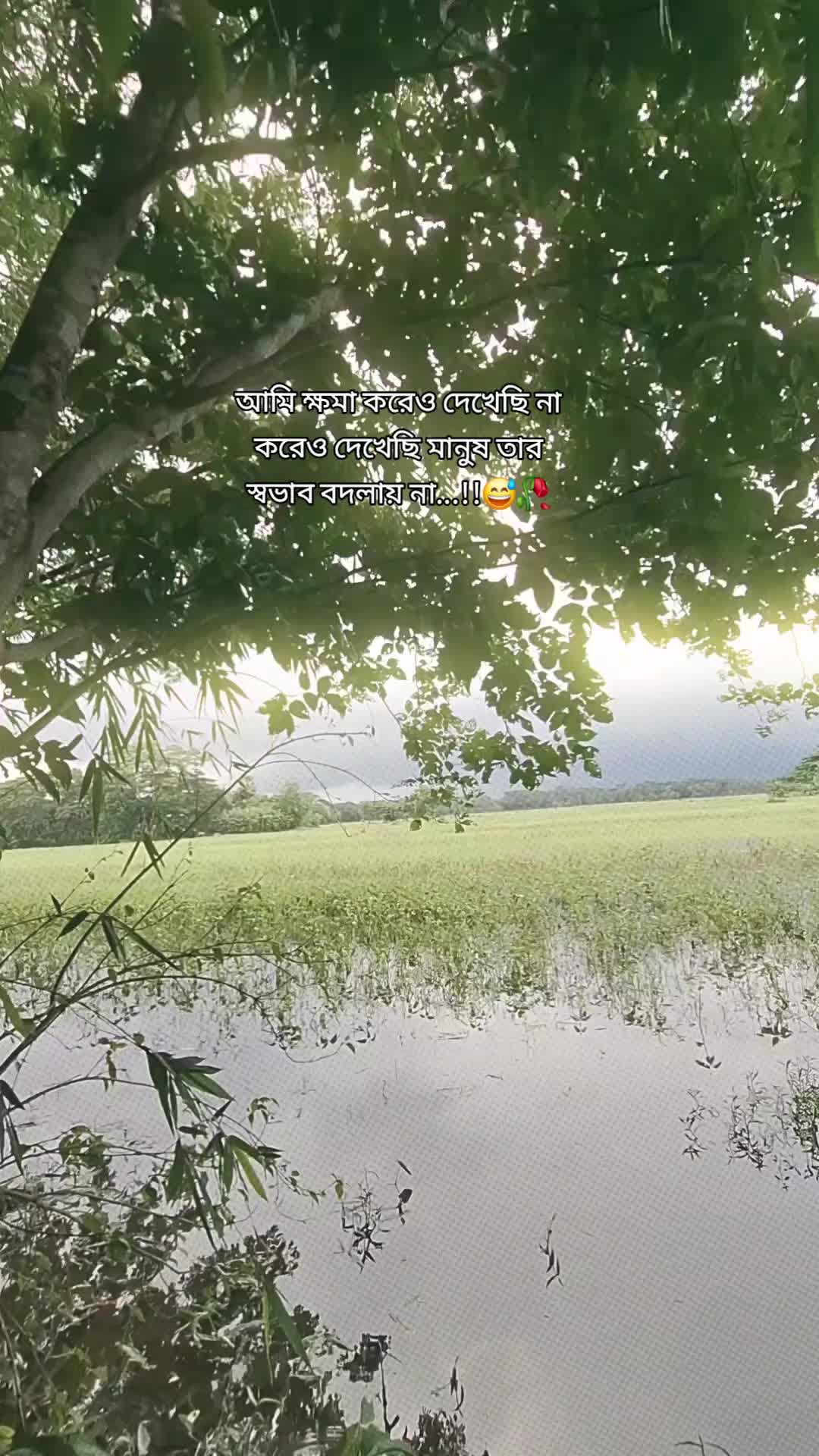 @rafia_kabir
