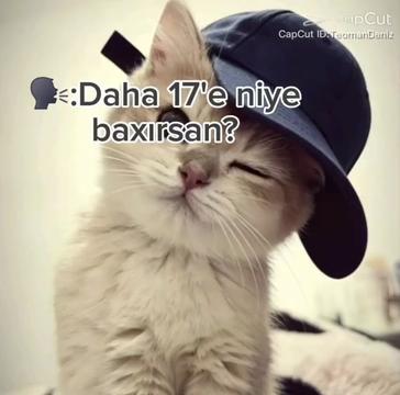 @โ. ๐ ๐ ๐ .โ