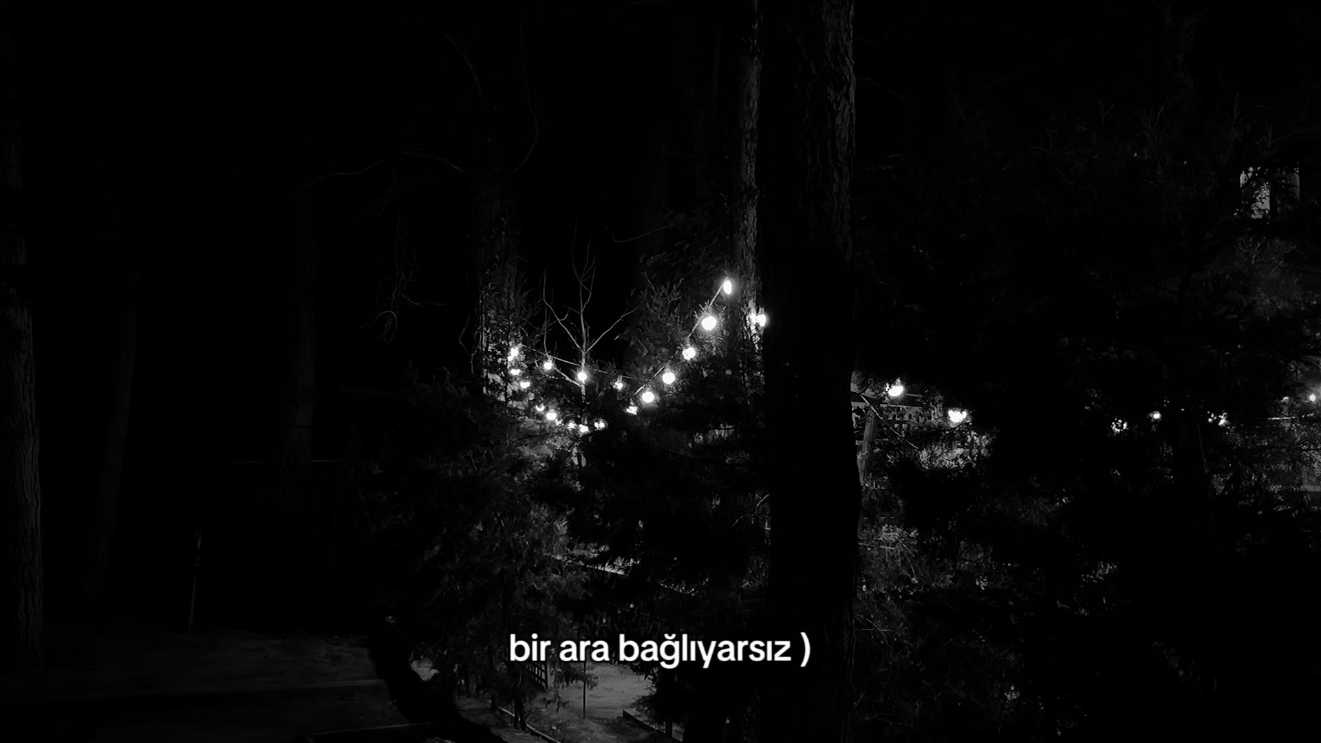 @garibovvv