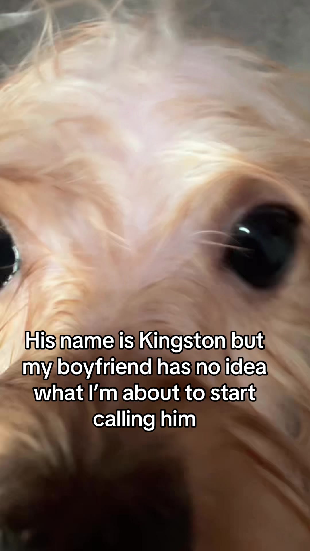 @saber