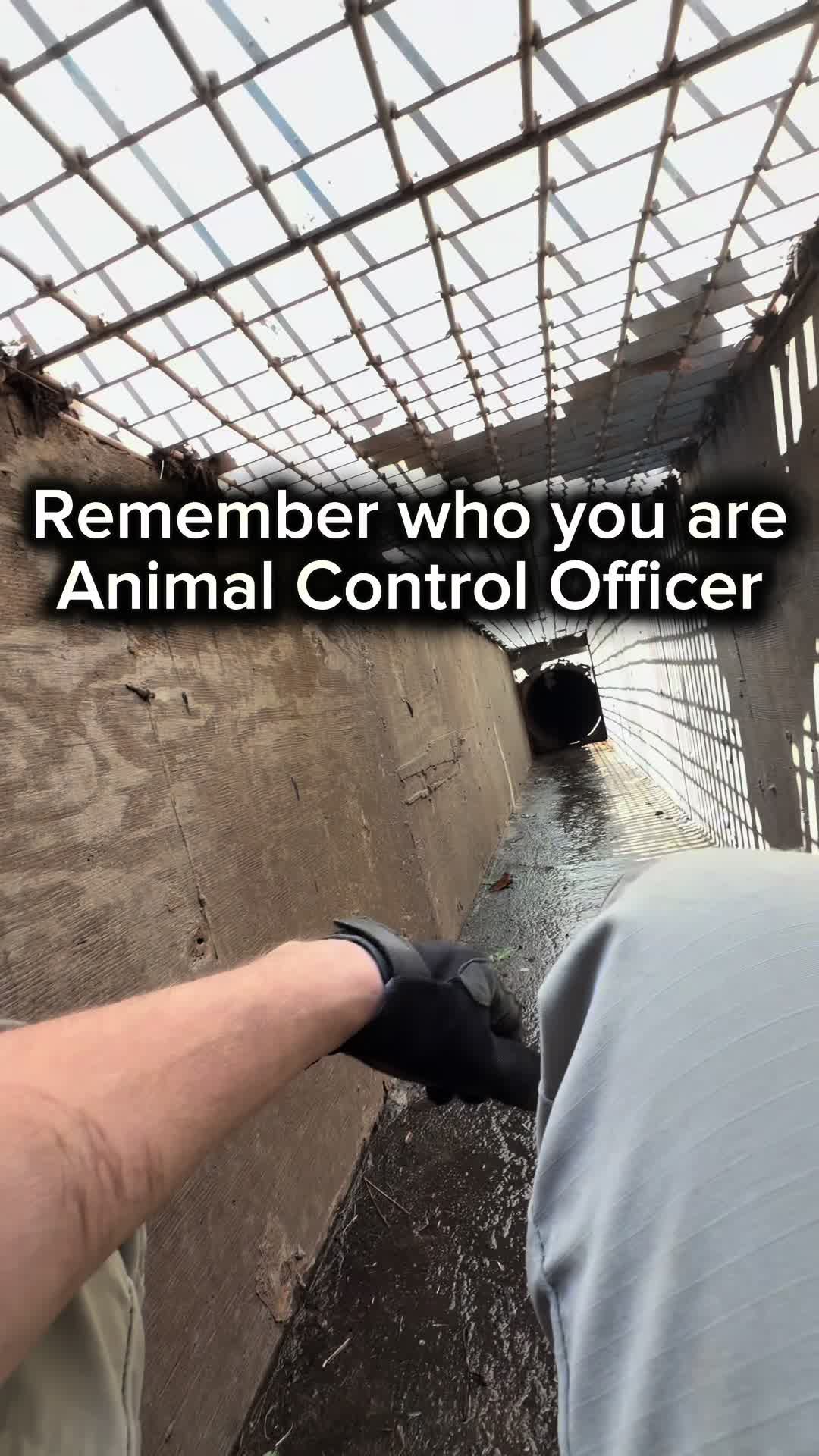 @AnimalWelfareGuy
