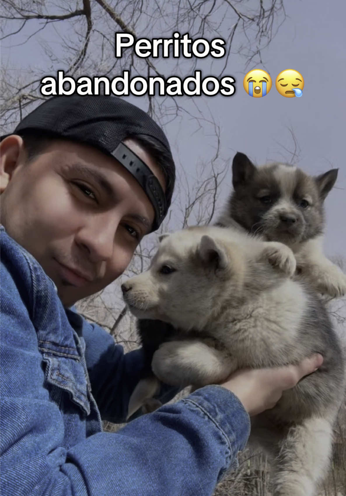@Amilcar_mancia🐍🖤