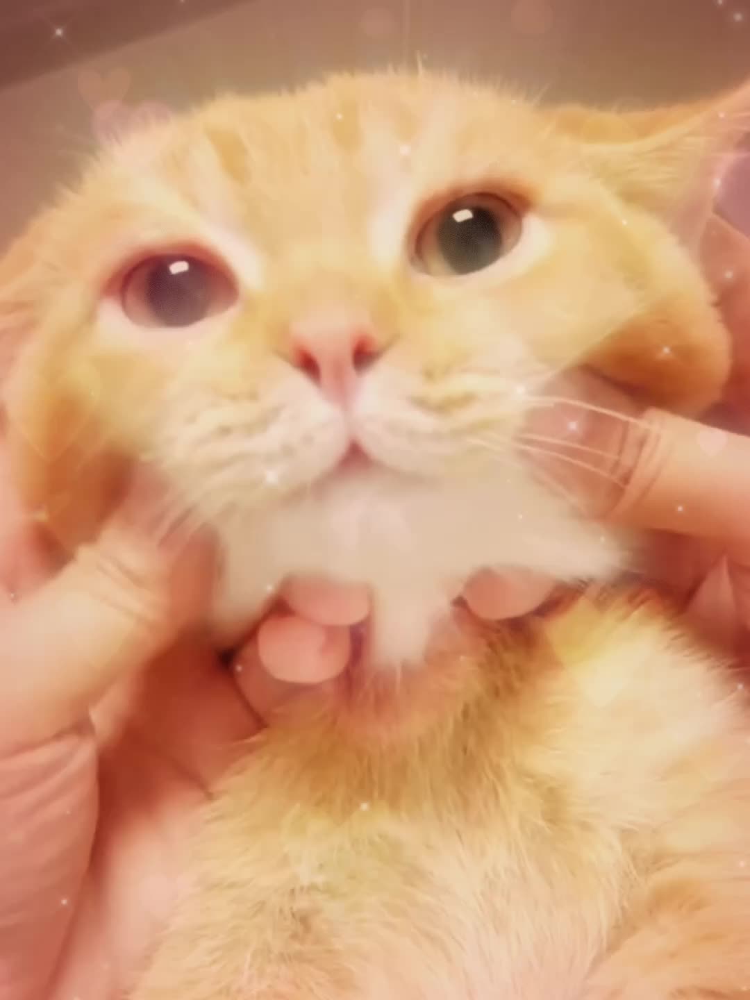 @Mihamii35
