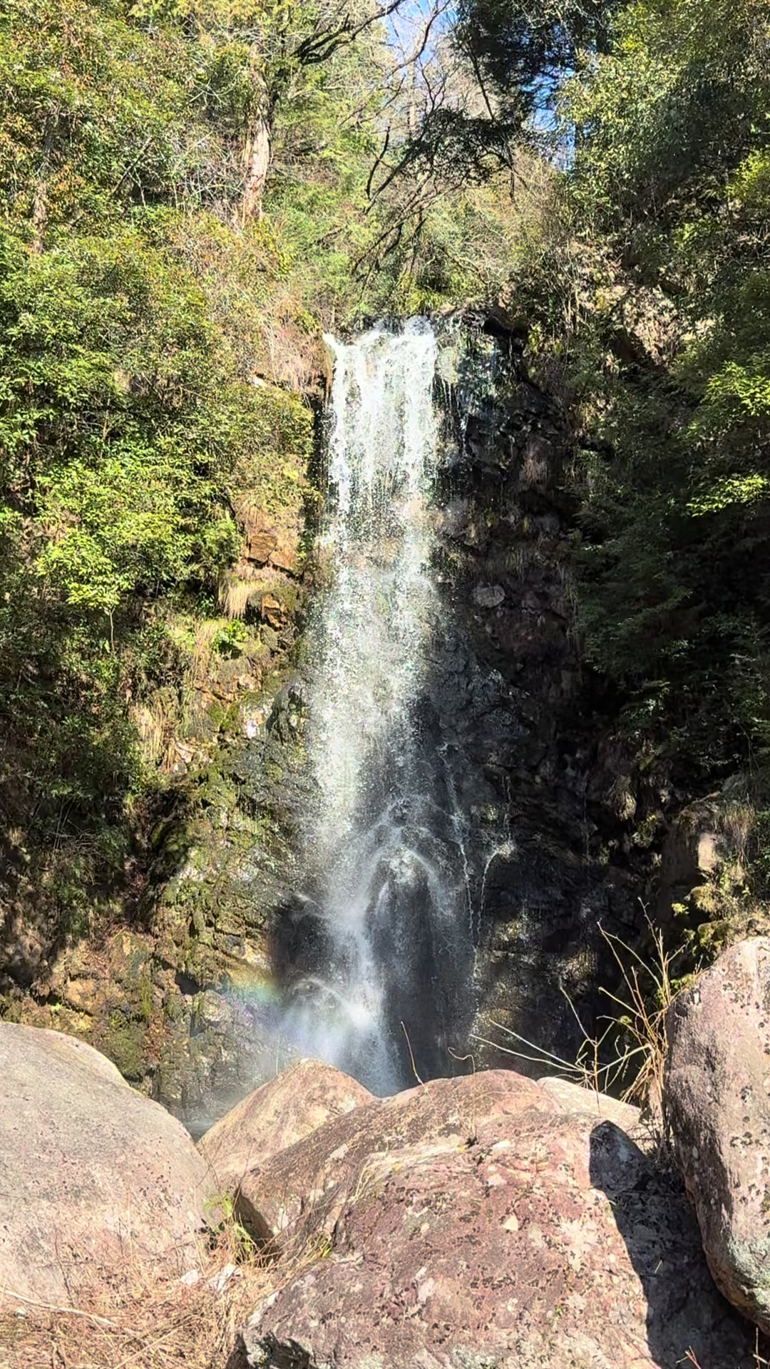 @のりぃ〜