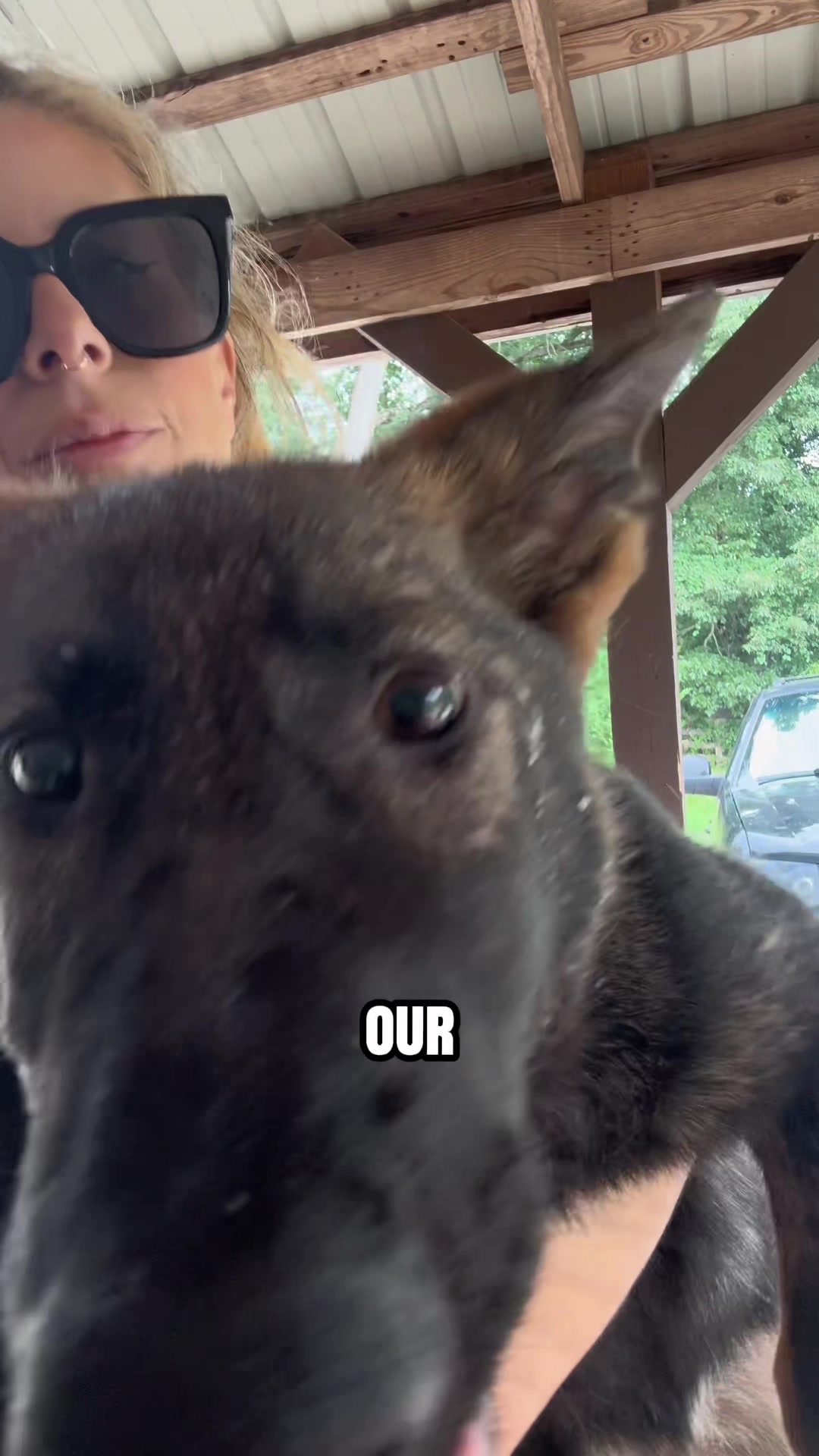 @True Guard K9 I Tara