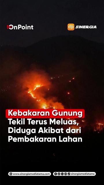 @SINERGIA MEDIATAMA