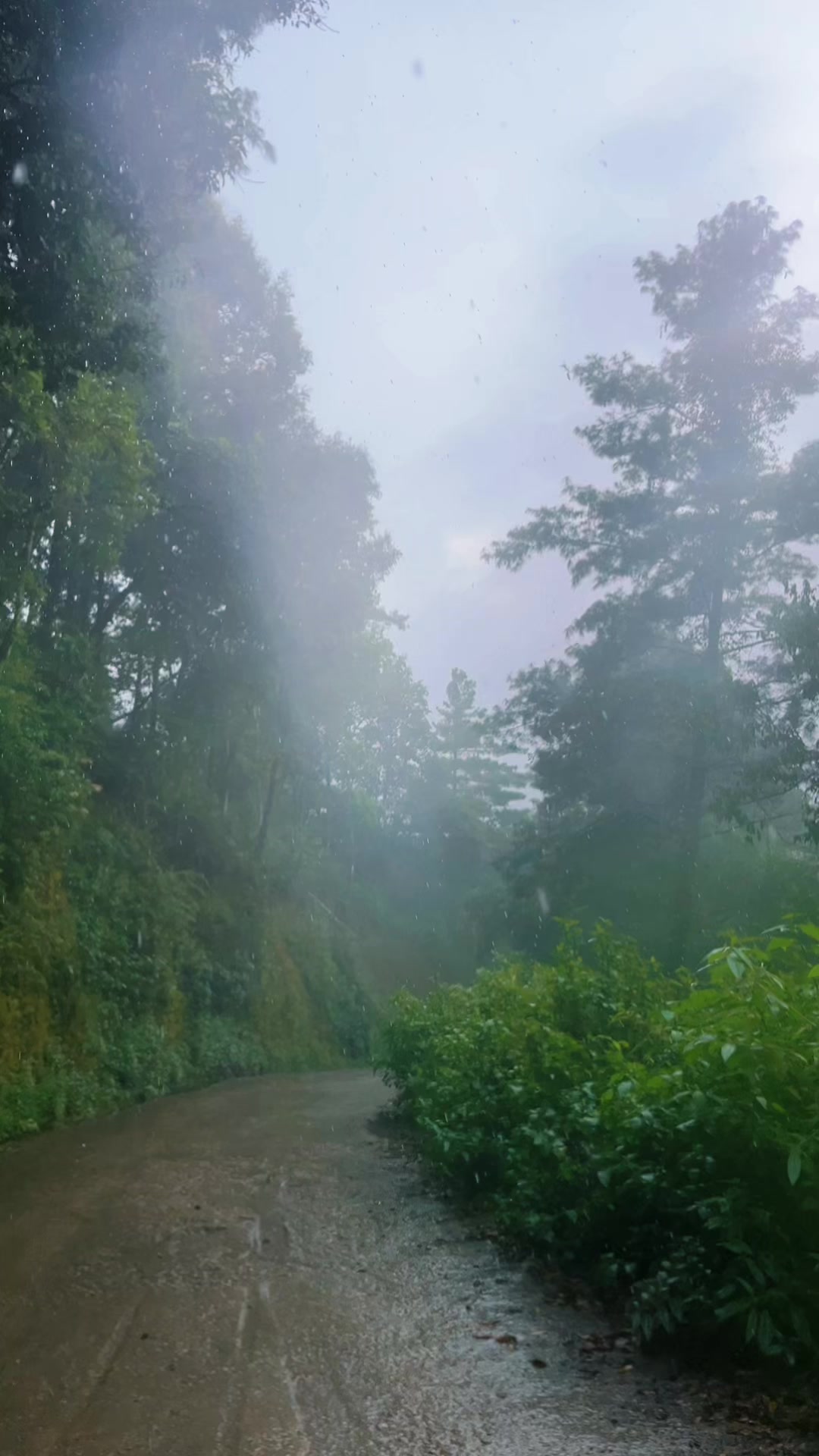 @Gurash Thakuree