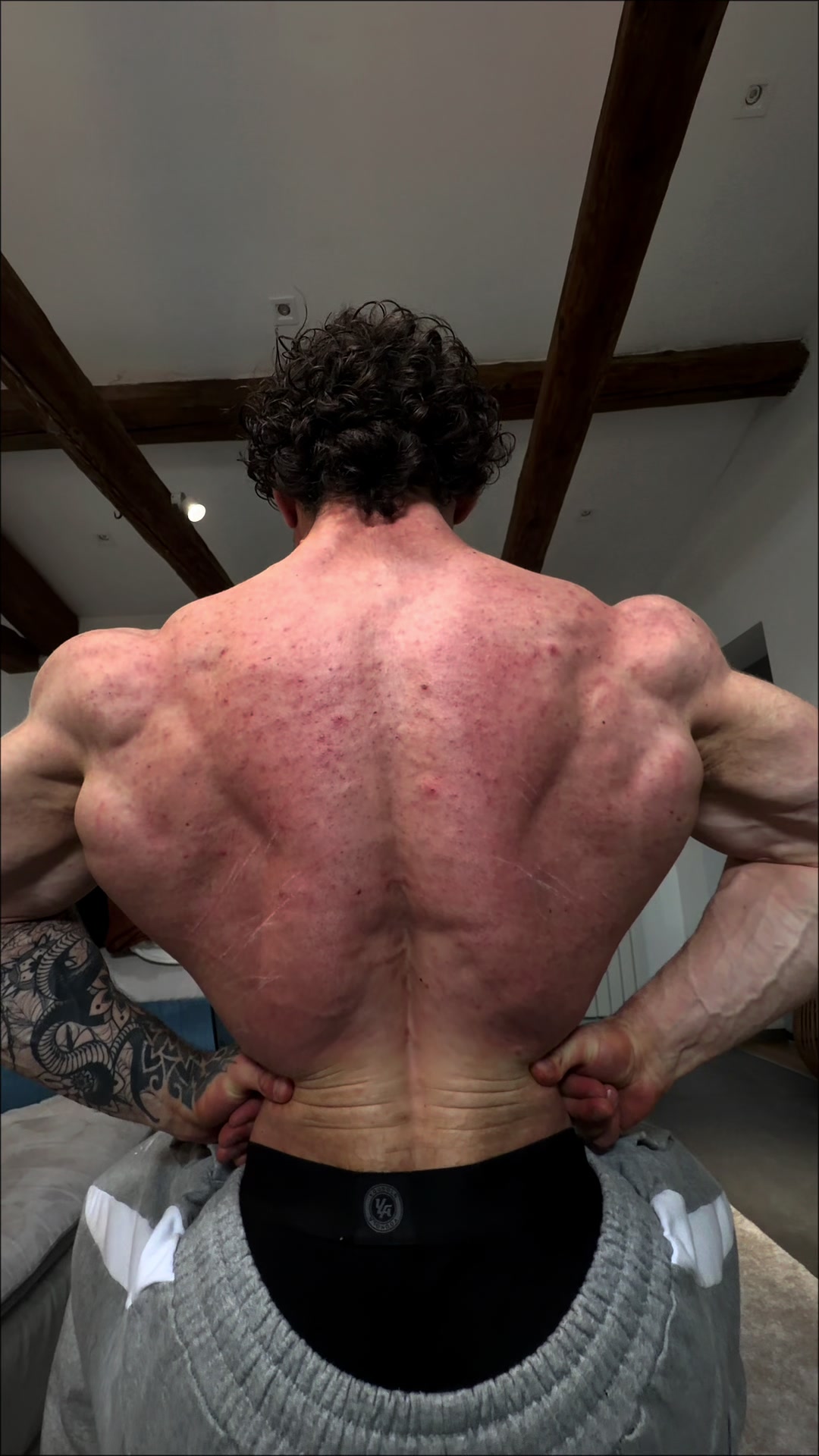 @leospollii