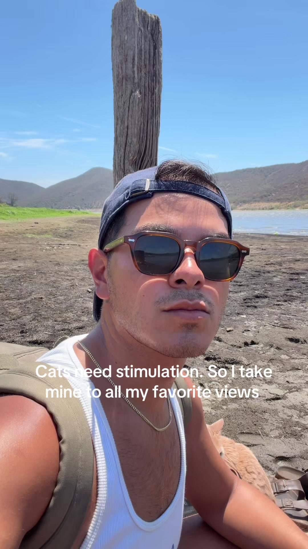 @michaeltaylorskin