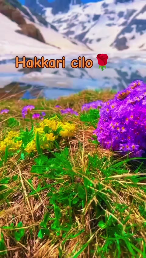@çirkin kral _073