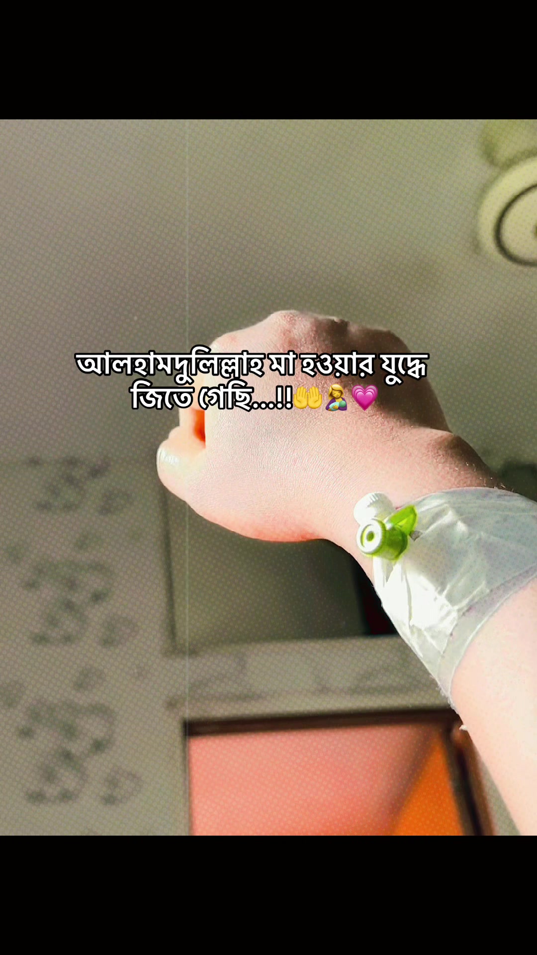 @đĻ S H I U L I đĻ