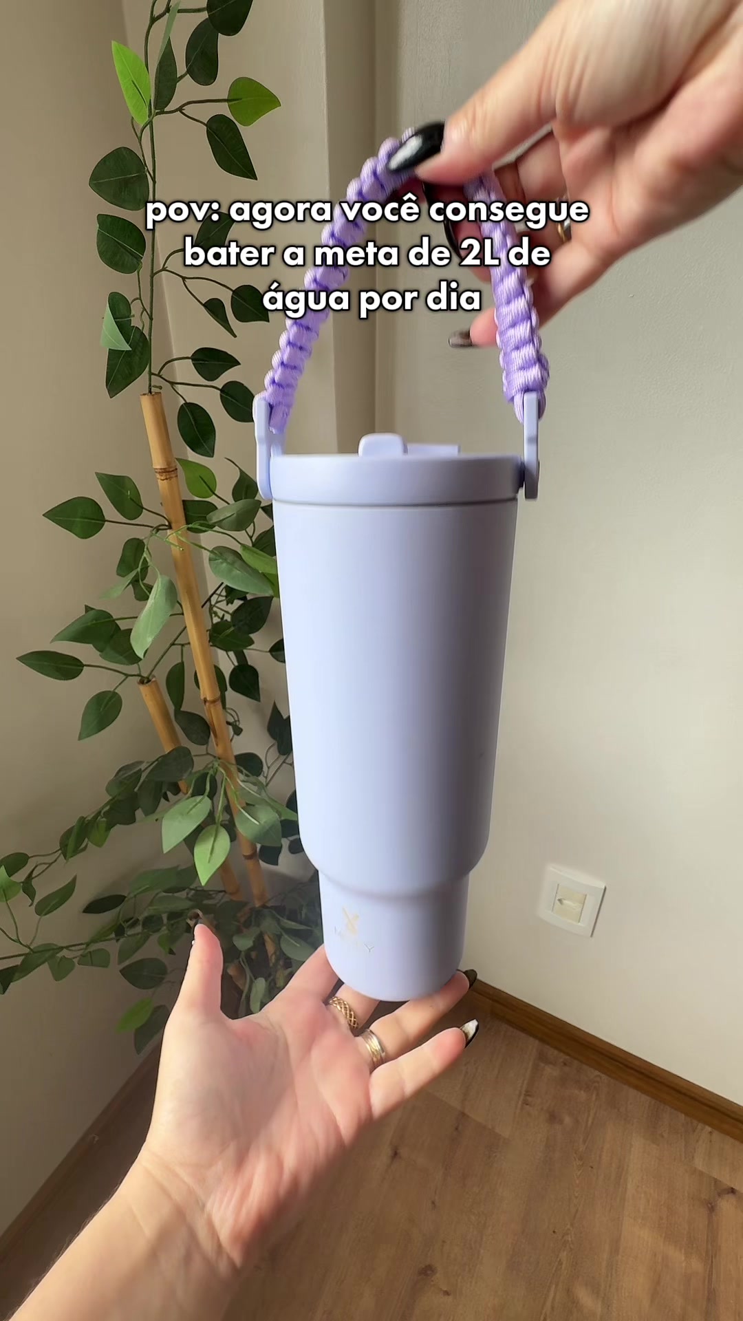 @Jaine Zambra