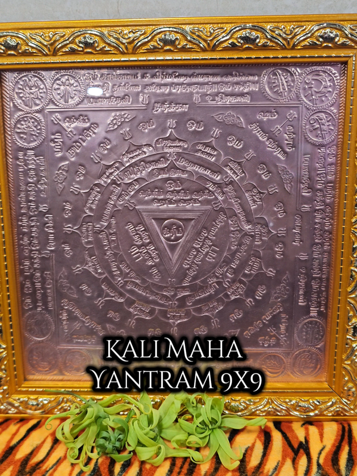 @MayanaMuniappan