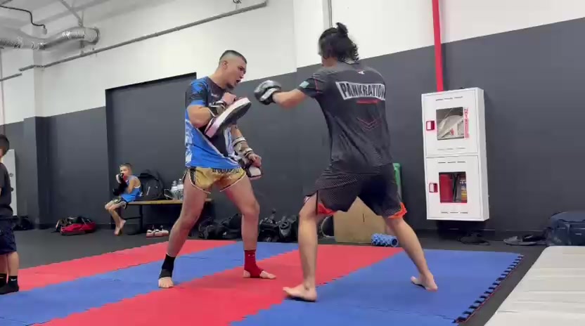 @alash.fighters.kz