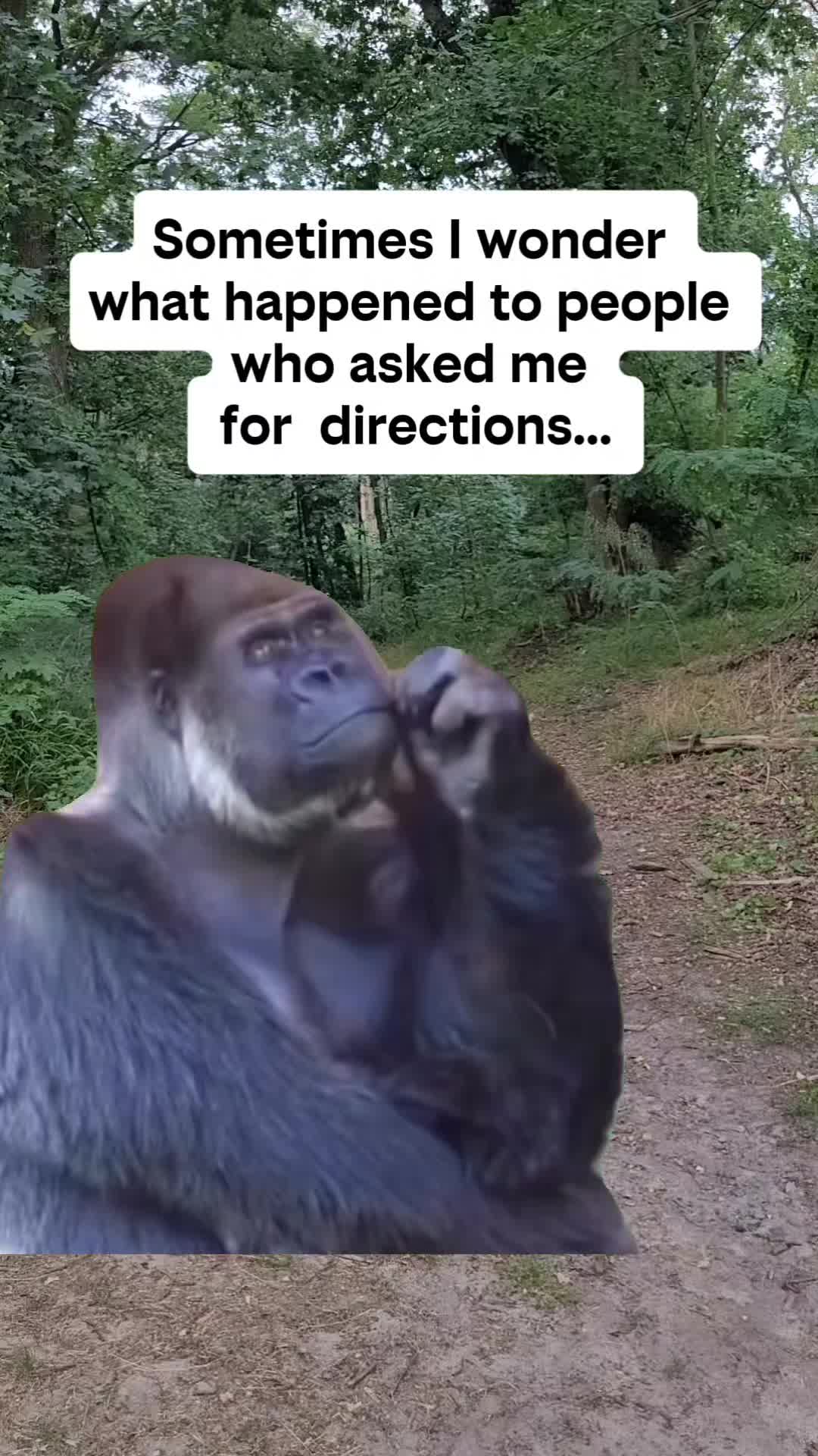 @Midazgd