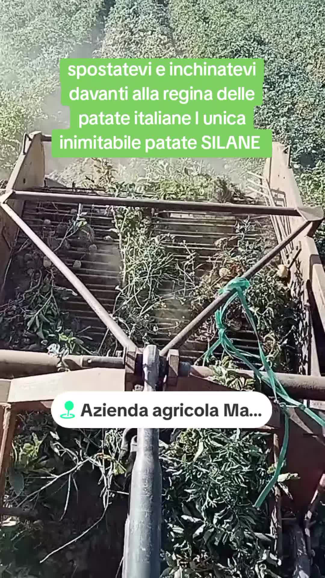 @IL Brigante della sila