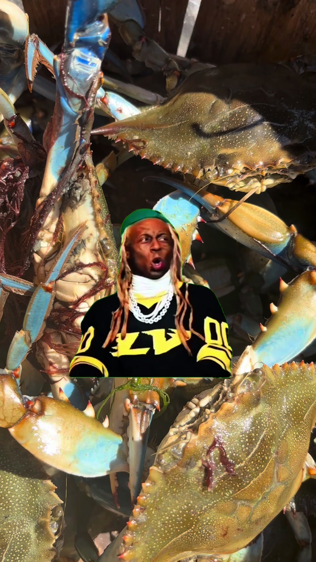 @Crab Mafia