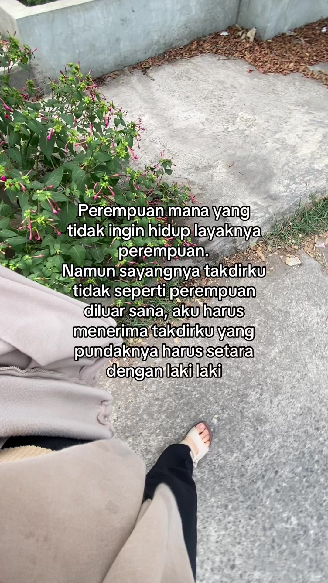 @🎬