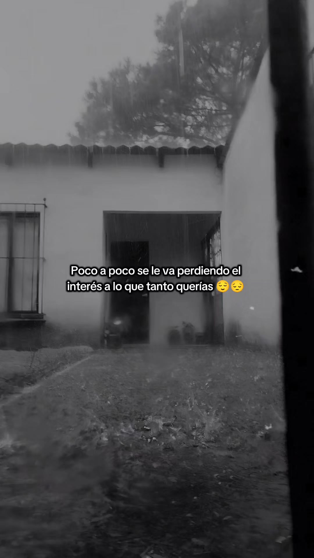 @celeste