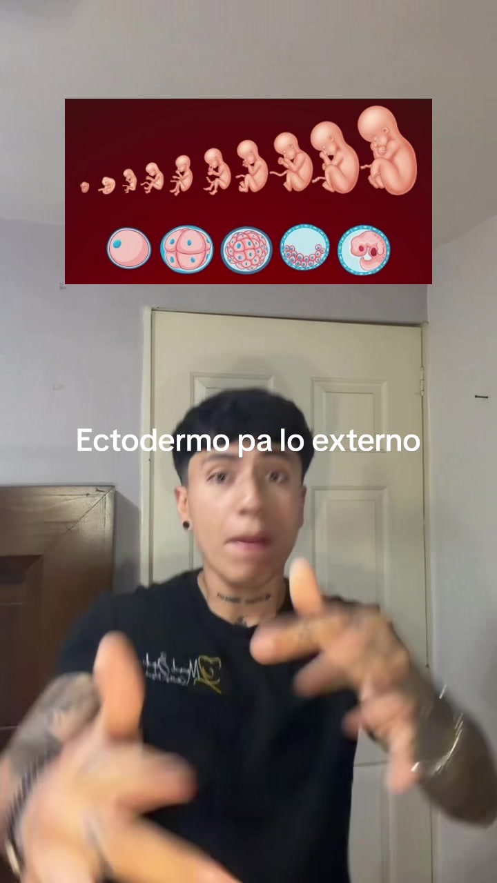 @ENDOBOY