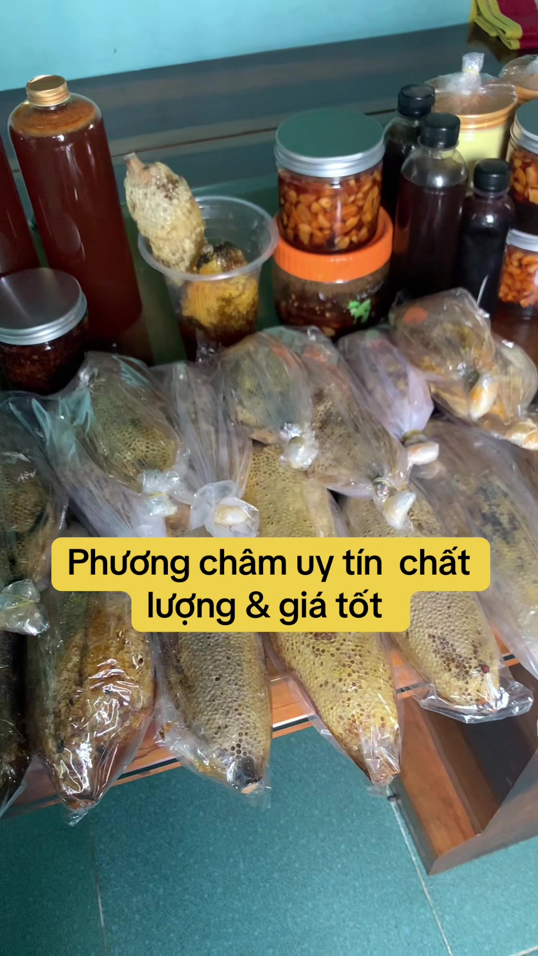 @Mật rừng TH&Agrave;NH ĐẠT